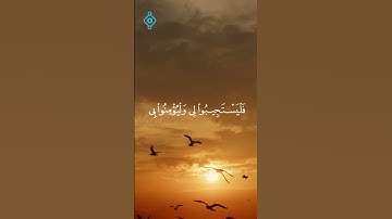 سورة البقرة 186| تلاوة فارس عباد Bakara Suresi 186| Fares Abbad Tilaveti