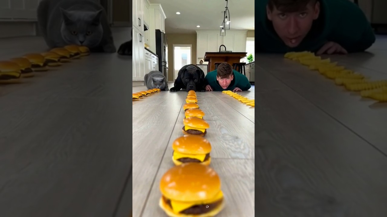 Dog vs Cat vs Human Burger Challenge?! ChaosEnsuedBig MistakeFunny FoodChallenge 