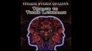 Triad - Vitamin String Quartet Performs Tool's Lateralus