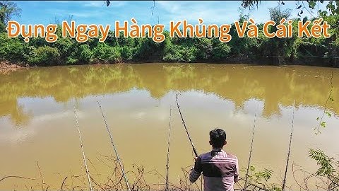 Câu Cá Sông Bé, Vịnh Mỏ Cày Đẹp Rộng Thích Hợp Cho Săng Hàng/#109/Hòa Vlog 934.