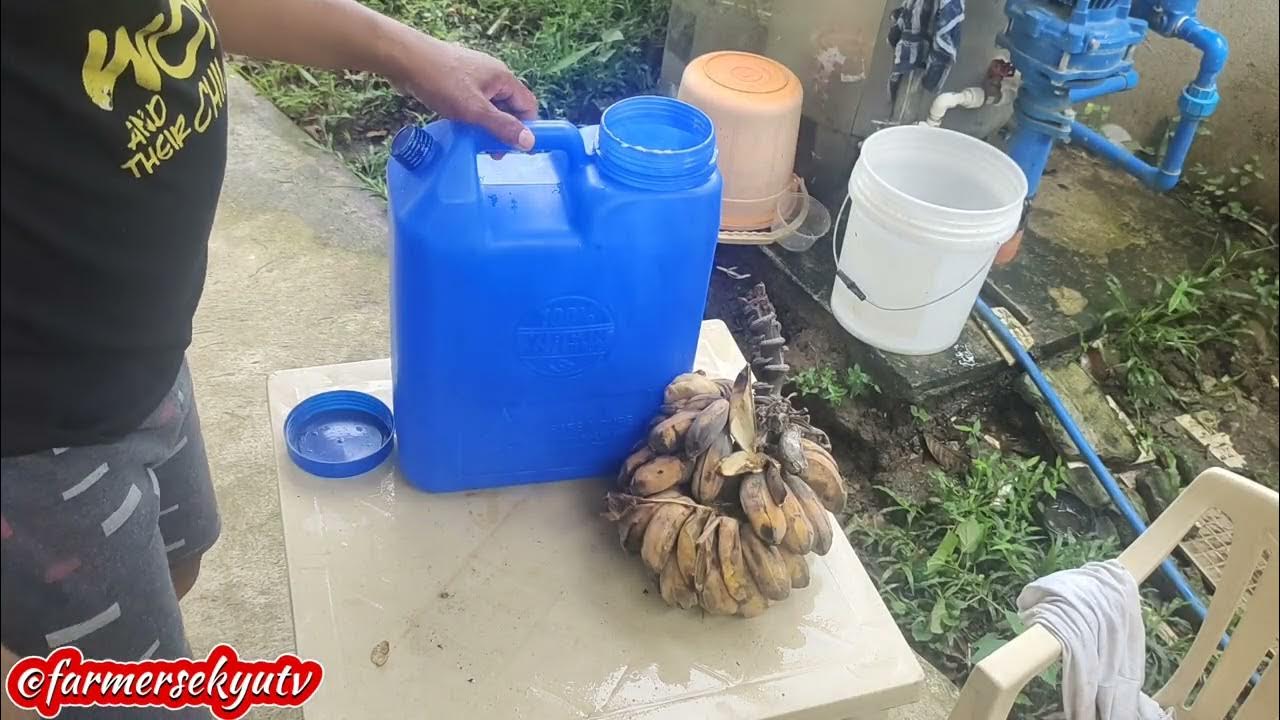 How to make vinegar Using over ripe banana🍌🍌 part 1 YouTube