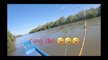 Câu cá ngát mà ghe chết máy thì làm sao ae |Thành Kiệt