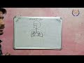 मानव श्वसन तंत्र का नामांकित चित्र Human Respiratory system by S.K sanju