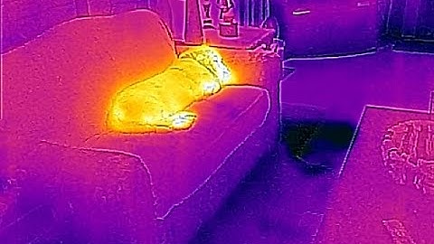 Flir One Thermal camera for iOS 2nd gen