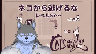 【Cats Organized Neatly】#04 朝活としてネコを並べます【弓影フレディ】