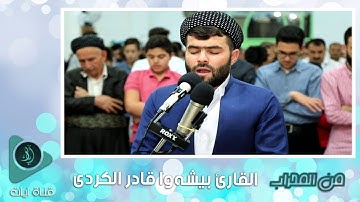 ( وَجَاءَتْ سَكْرَةُ الْمَوْتِ بِالْحَقِّ ) إبداع لا يوصف  للقارئ بيشهوا قادر الكردى سورة ق كاملة