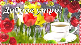 С Добрым Утром! Удачного Дня! Красивое Пожелание С Добрым Утром!