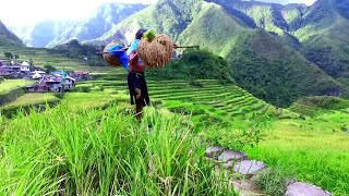DESA DI Filipina: HARMONI KEHIDUPAN NUANSA PEDESAAN