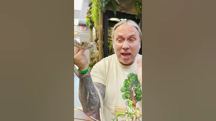 AFRICAN EGG EATING SNAKE!! #SHORTS | BRIAN BARCZYK