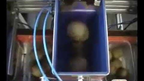 Counting machine for fruits