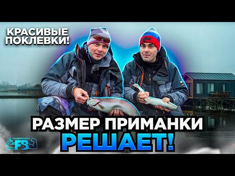 Видео: СЕКРЕТЫ ЛОВЛИ ФОРЕЛИ на резину! НАШИ НАРАБОТКИ за сезон! Отличное закрытие, КУЧА ПОКЛЕВОК!