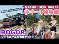 Kebun Raya Bogor 🌱初めての電車！ボゴール植物園に行ってきたよ🇮🇩 インドネシア | 観光 | Indonesia