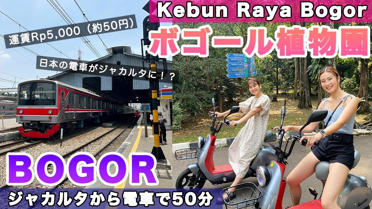 Kebun Raya Bogor 🌱初めての電車！ボゴール植物園に行ってきたよ🇮🇩 インドネシア | 観光 | Indonesia