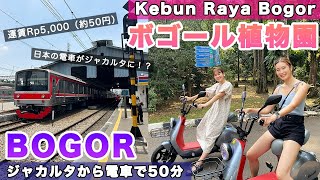 Kebun Raya Bogor 🌱初めての電車！ボゴール植物園に行ってきたよ🇮🇩 インドネシア | 観光 | Indonesia