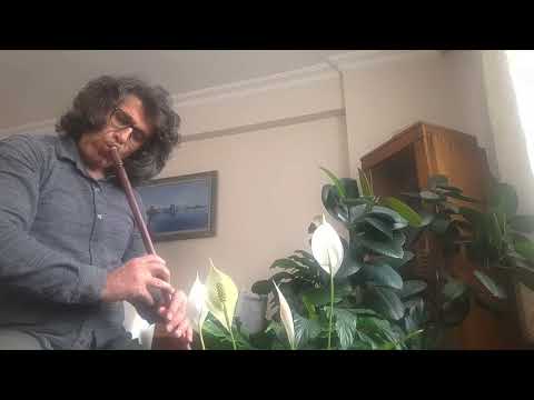 Ayhan Erkmen: Dilo