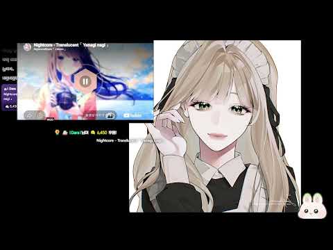 다비보기 26년 07월 06일