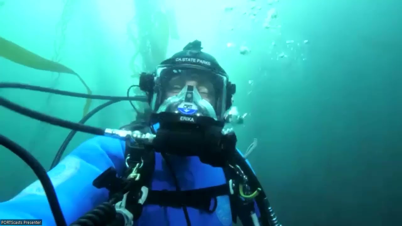 Live Dive at Point Lobos State Marine Reserve