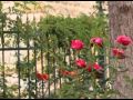 صوفر عم بـ تنادي.. رَجعولي سكاني