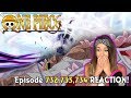 DOFLAMINGO DEFEATED! One Piece Episode 732, 733, 734 REACTION!
