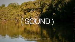 This is GreenNoise - Video Intro