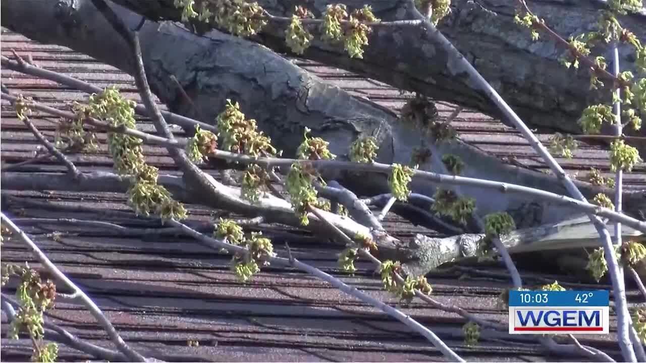 Storm damage cleanup - YouTube