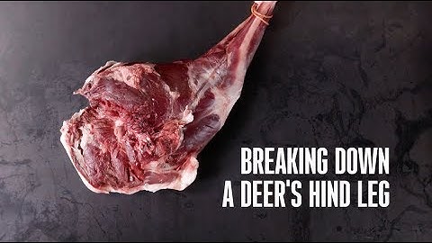 How to Break Down a Deer