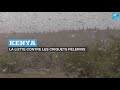 La lutte contre les criquets plerins au kenya