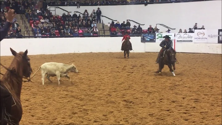 RL Chartier & A Little Bossy-2016 NCHA Open World ...