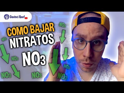 Video: Cómo Reducir Los Nitratos En Tu Acuario