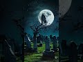 Did You See That Ghost Bhoot Graveyard Scary Night Moon Creepy Horrorshorts Shorts Did You See That Ghost Bhoot Graveyard Scary Night Moon Creepy Horrorshorts Shorts