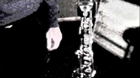 Loopcall; studies for bassclarinet, loops, feedbackloops and ppooll processing