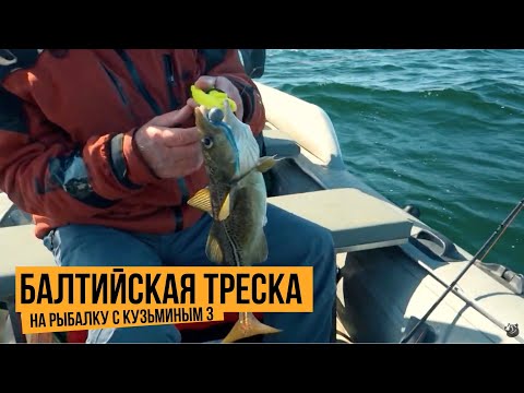 Балтийская треска / На рыбалку с Кузьминым 3 // №12