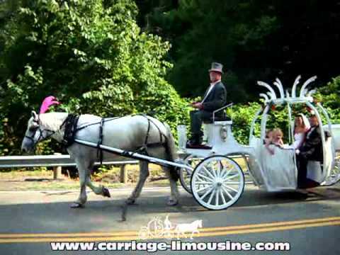 Horse Drawn Carriage -- Wedding Carriage -- Cinderella Carriage 19e -- Carriage LimMen's Suitsine Service