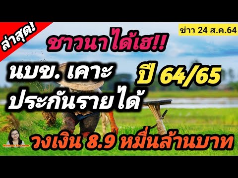 ชาวนาได้เฮ! นบข.เคาะ​ประกันรายได้ปี​ 64/65  วงเงิน​ 8.9​ หมื่นล้านบาท