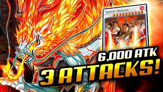 TENPAI DRAGON Deck (30,000 BATTLE DAMAGE❗) | NEW From Legecy of Destruction