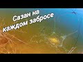 Рыбалка на паук в малых Сибирских реках! Сазан на каждом забросе! Адреналин зашкаливает!