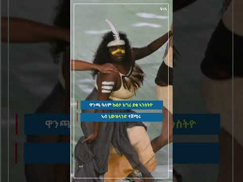 ቪዲዮ: ኒውዚላንድ ኮካስ አላት?