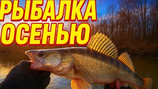 видео: Рыбалка на спиннинг поздней осенью картинка: Рыбалка на спиннинг поздней осенью