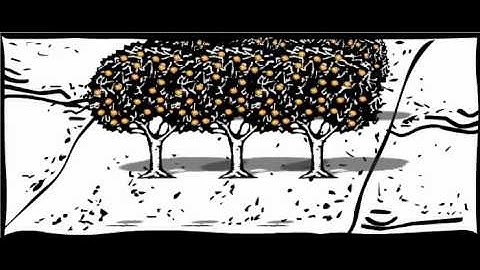 The History of Citrus