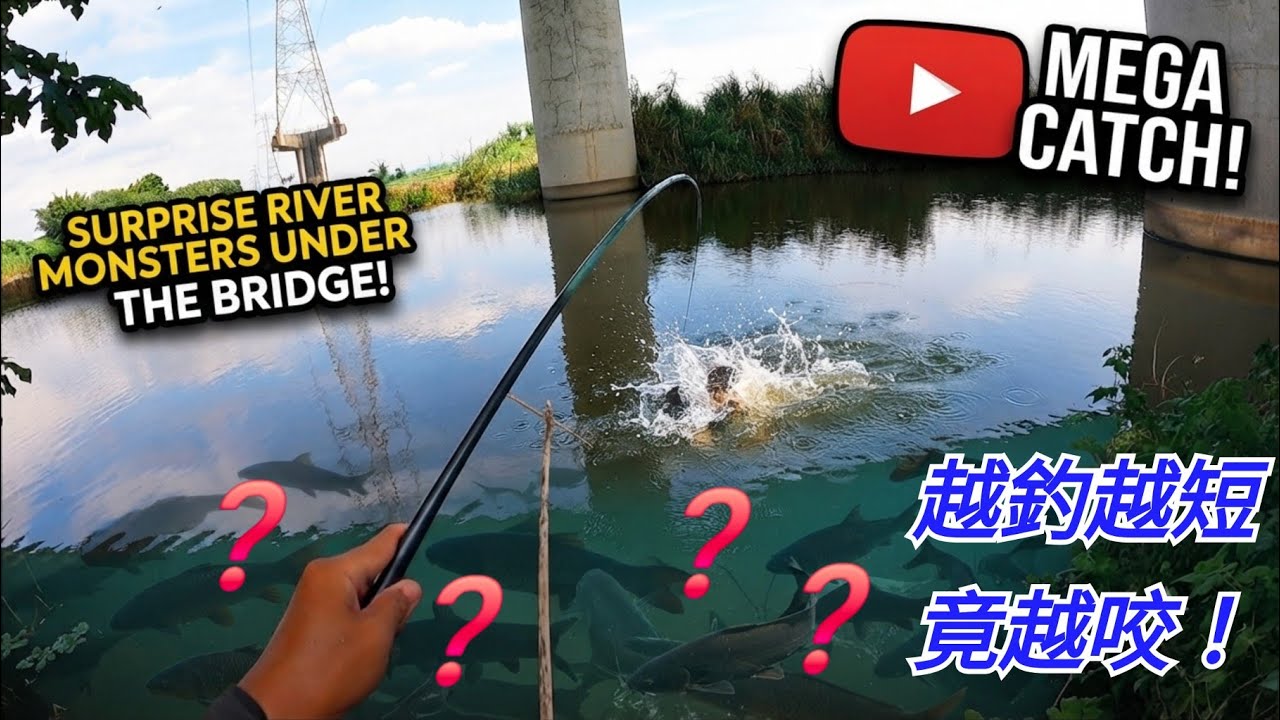 長竿釣咬度還好,換小短竿後直接瘋狂爆咬!橋下野池太扯了,為了讓原生魚有生存機會,我來橋下「釣」侵入種! 縮圖