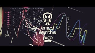 Erica Synths Pico Mask 4K Overview