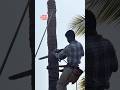 #coconut#tree cutting#tree#work#skills#vairal#short-video