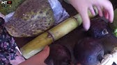 Tropical Fruit World - March Newsletter 