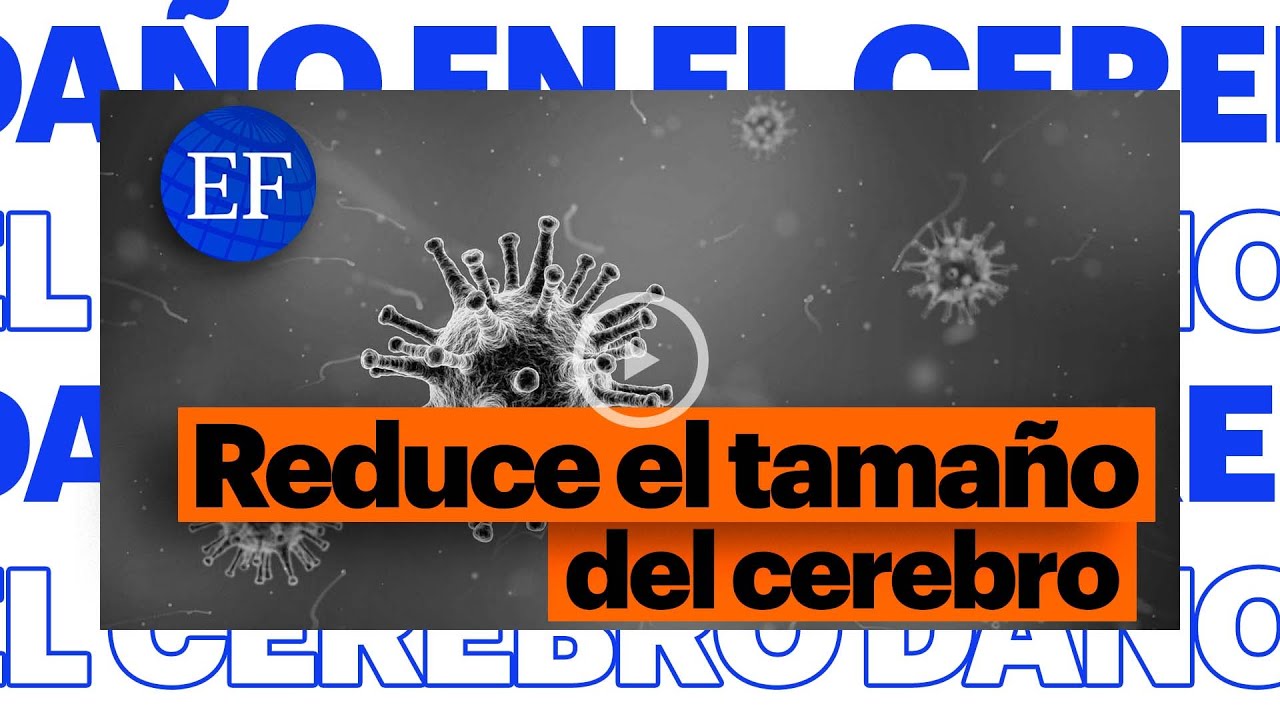 ¿Cómo afecta el COVID-19 al CEREBRO? 🧠🦠