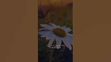 حبيبتي وعمري وأميرتي 