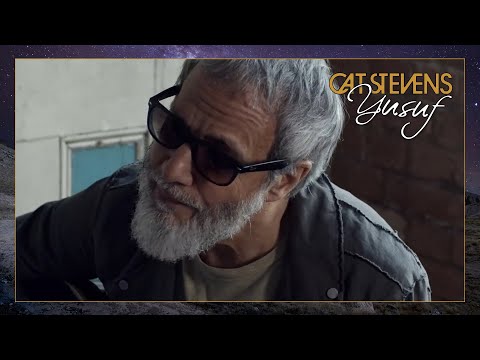 Yusuf / Cat