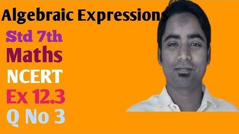 Algebraic expressions Std. 7th maths ncert ex. 12.3 q. no 3