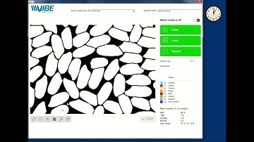 Grading Medium Grain Milled Rice