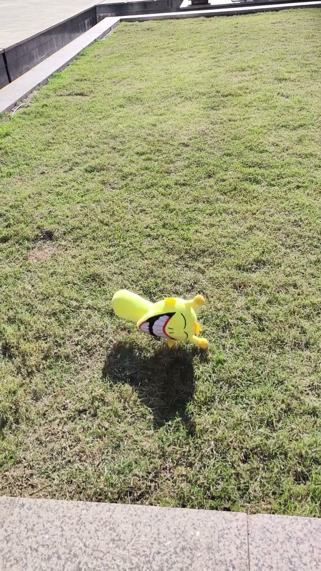 Simon horror boomerang