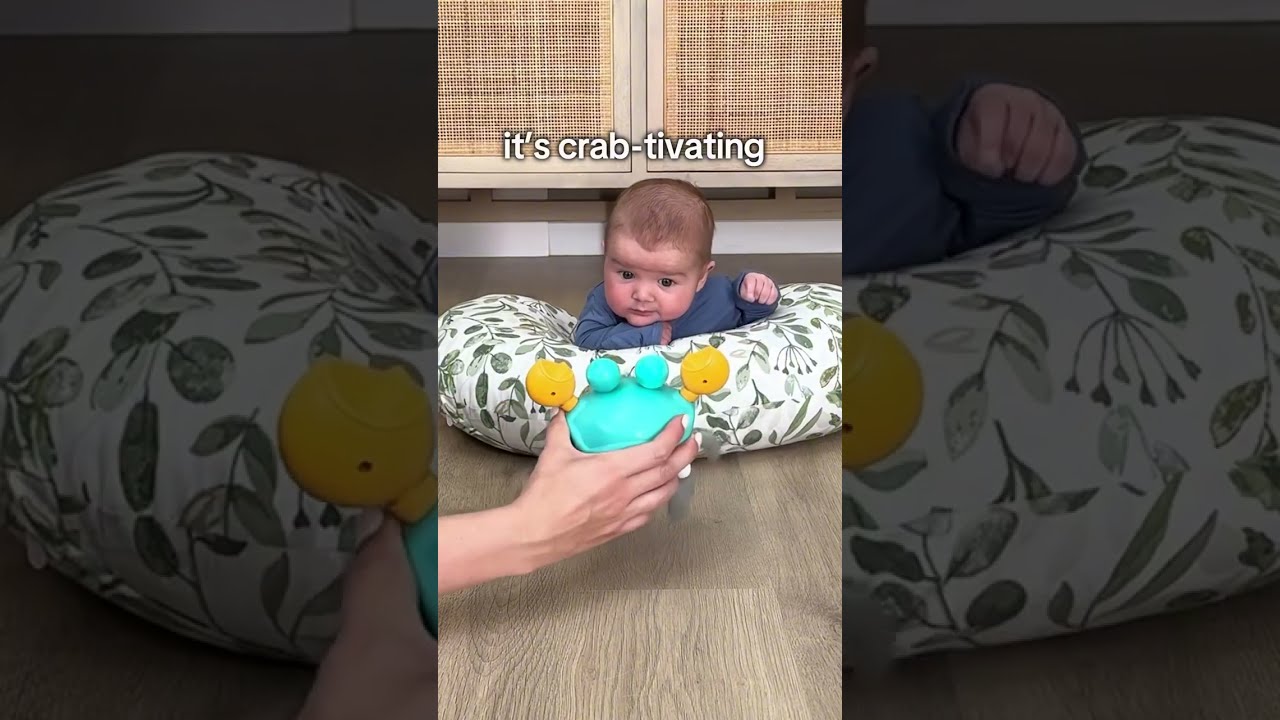 Dogs And Baby Review Viral Crab Toy
